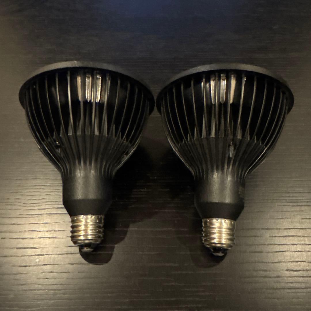 NEO AMATERAS 20W 2個セット　アガベ　植物育成LEDライト