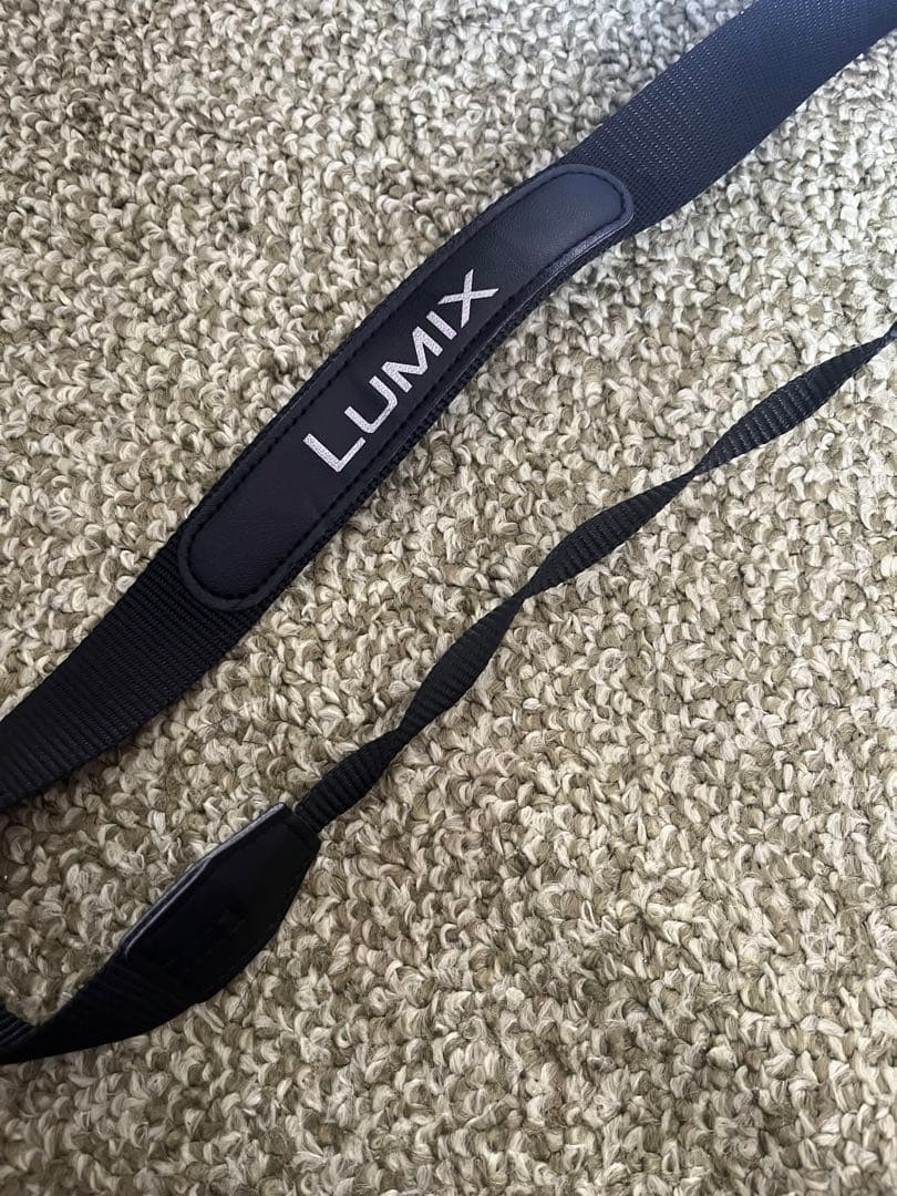 Panasonic LUMIX DMC-FZ70 SDカード32GB2枚付属