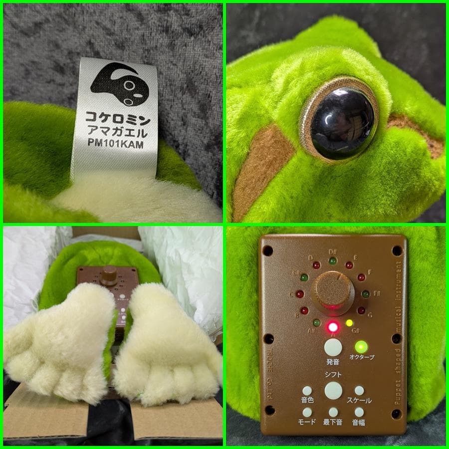 希少? コケロミン アマガエル 箱入り