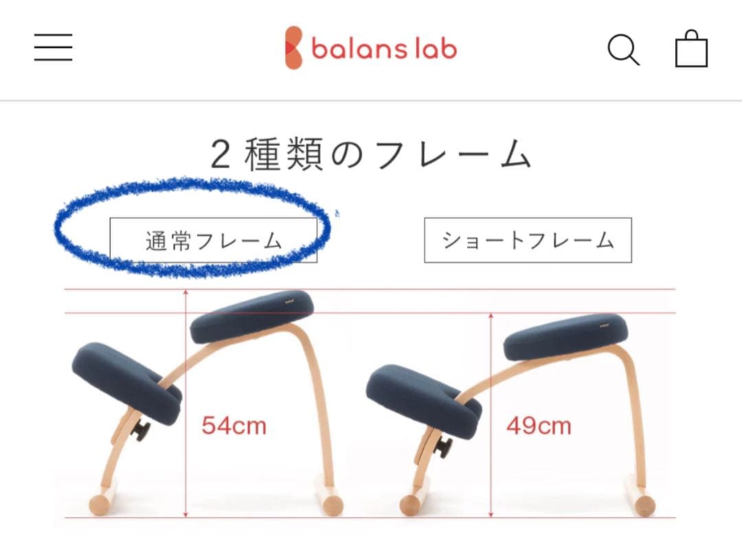 バランスラボ バランスチェア バランスイージー レッド (取説あり)