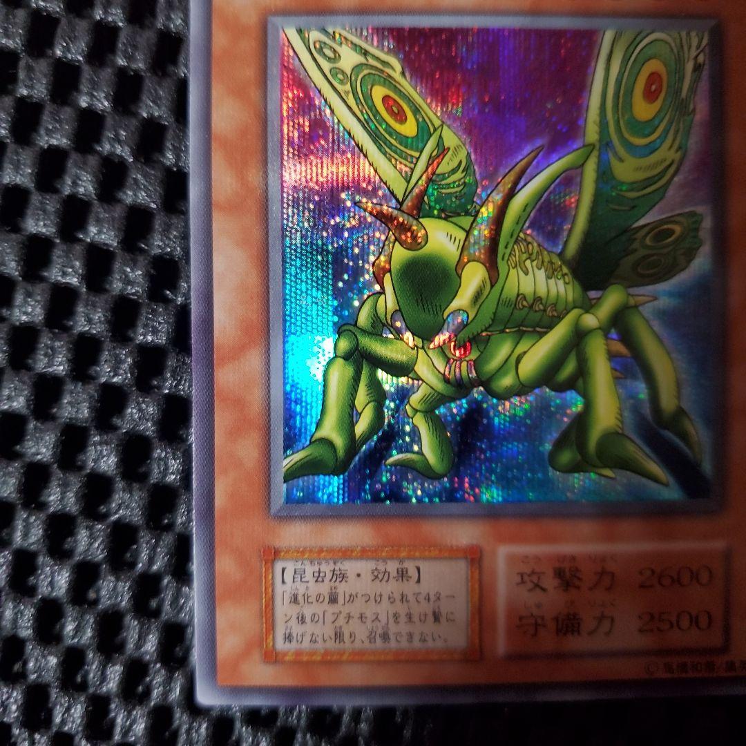 【極美品級】遊戯王 グレート・モス 初期 シークレット