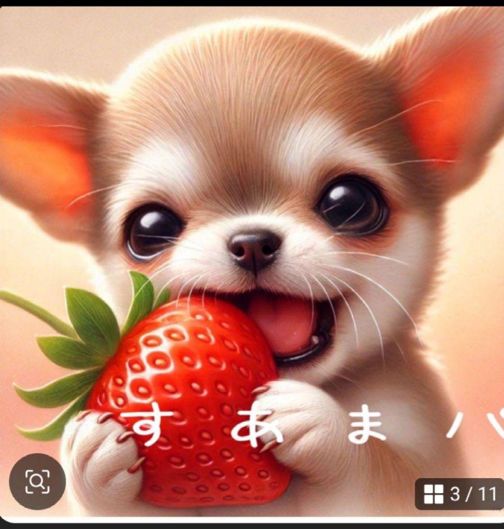 ななちゃん様ご確認用