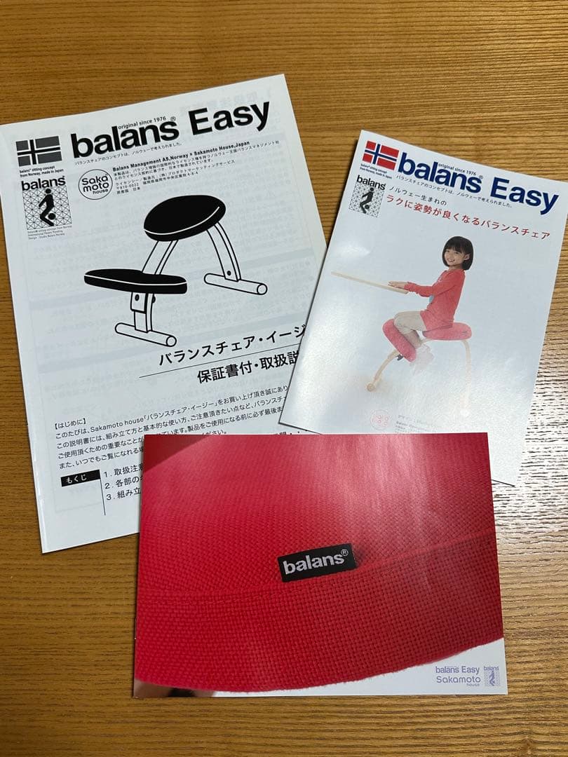サカモトハウス バランスチェア バランスイージー リボ社