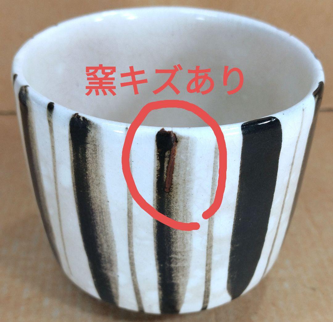 【本物保証】十三代 中里太郎右衛門 唐津 絵粉引向付 五客 共箱 栞2枚 唐津焼