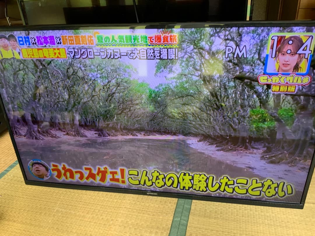 マクスゼン　テレビ　J43SK03 MAXZEN 直接取引