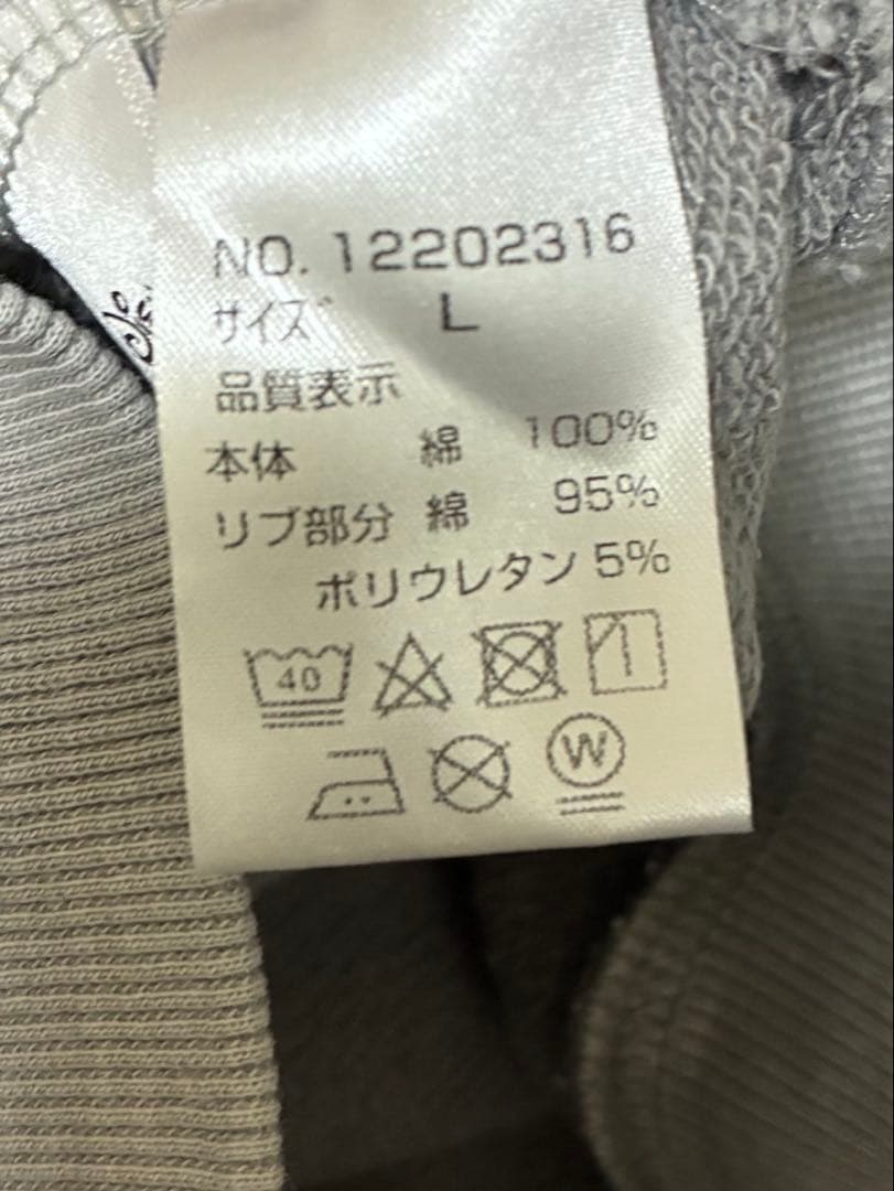 平井大さんDisneyトレーナー　Ｌサイズ