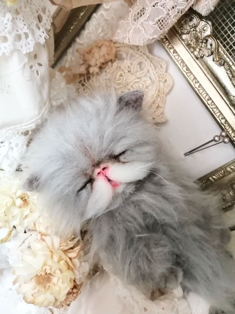 ポッケにゃん♡おねむちゃん♡エキゾチックベビー♡子猫♡アートドール♡ぬいぐるみ♡