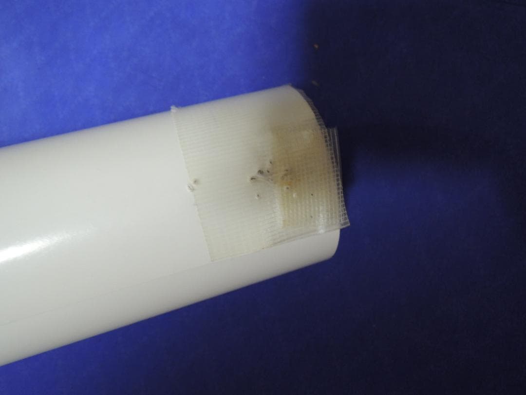 ★吉木りさ　★等身大ポスター(180×60)