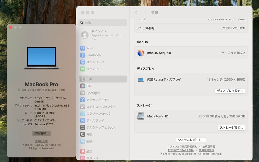 MacBook本体 Apple MacBook Pro 13 2018 i5/8GB/250GB