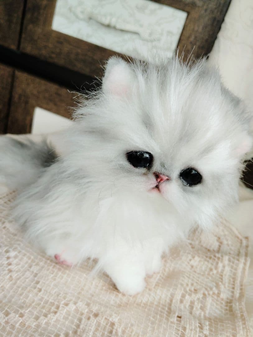 チンチラシルバー♡子猫のノノちゃん♡アートドール♡ぬいぐるみ♡