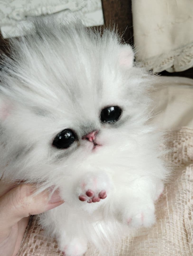 チンチラシルバー♡子猫のノノちゃん♡アートドール♡ぬいぐるみ♡
