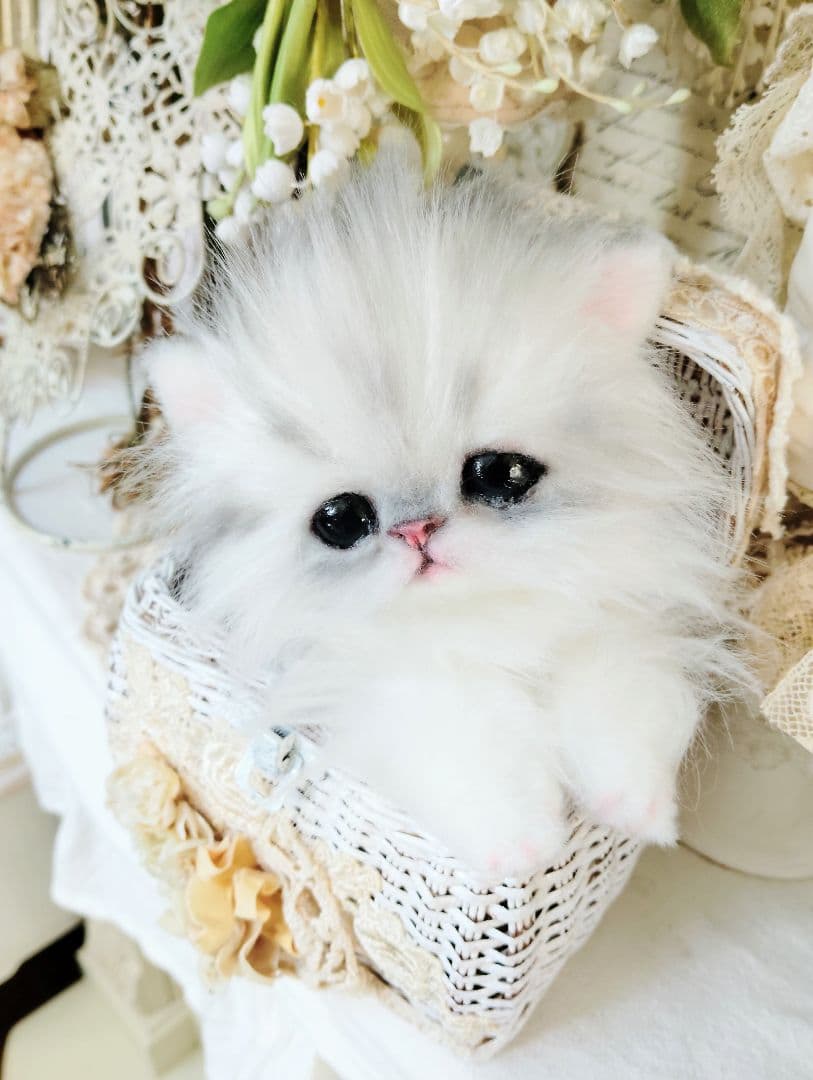チンチラシルバー♡子猫のノノちゃん♡アートドール♡ぬいぐるみ♡