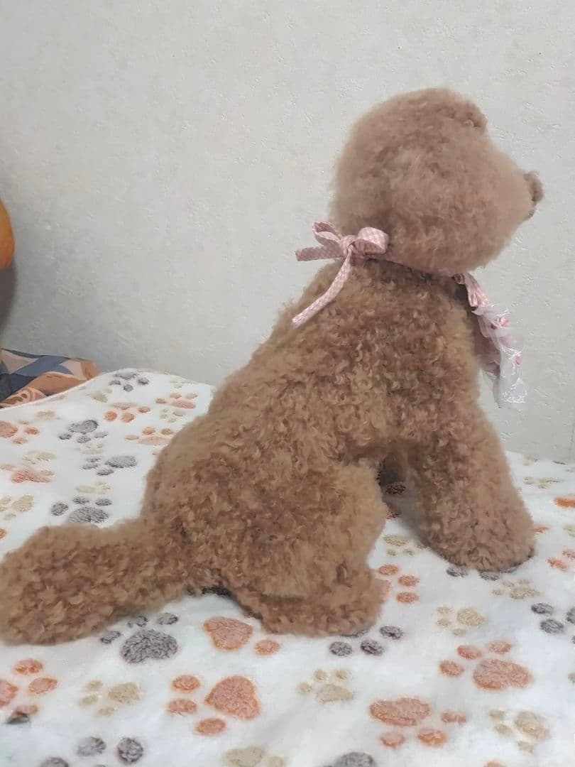 送料込み♡トイプードルレッドちゃん。ビッグ！