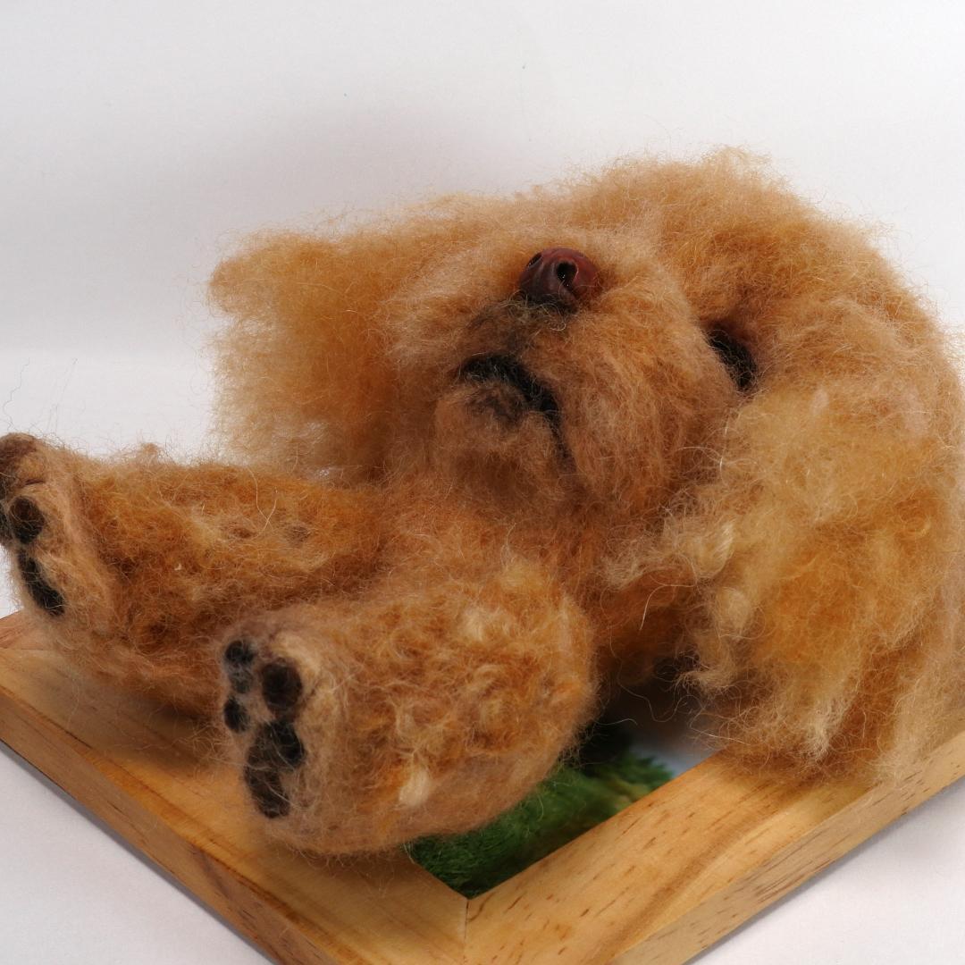 羊毛フェルト　えみ様確認用　トイプードル　ハンドメイド　犬　オーダー