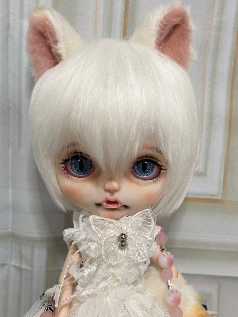 お*き様 アイシードール本体女の子　ボアウィッグ　OF付き ホワイトブチ猫