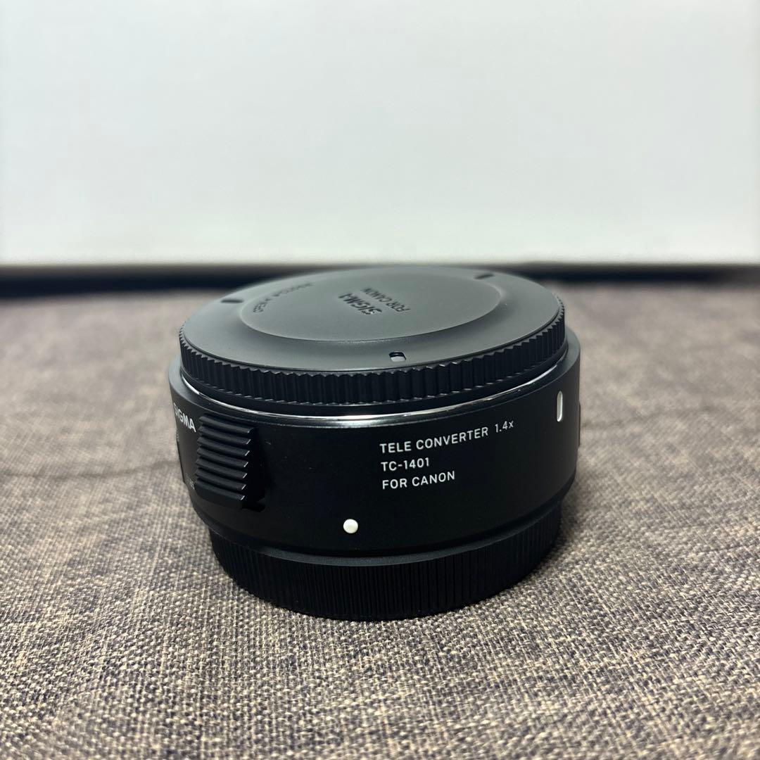 SIGMA EF 150-600mm DG OS ＋x1.4テレコン