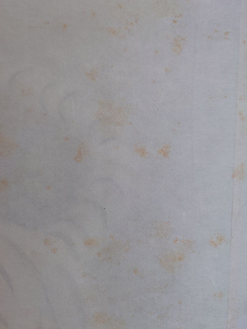 【完全セット】観音掛軸含む5幅＋桐箱付＋掛先＋タイランド・ ドイステープ寺院御守