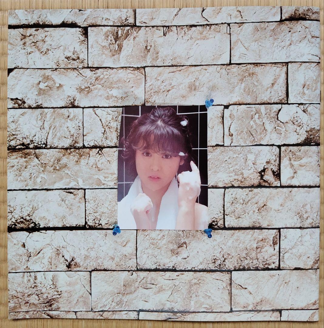 松田聖子 写真集 コンサートパンフレット 30センチ×30センチ 全20ページ