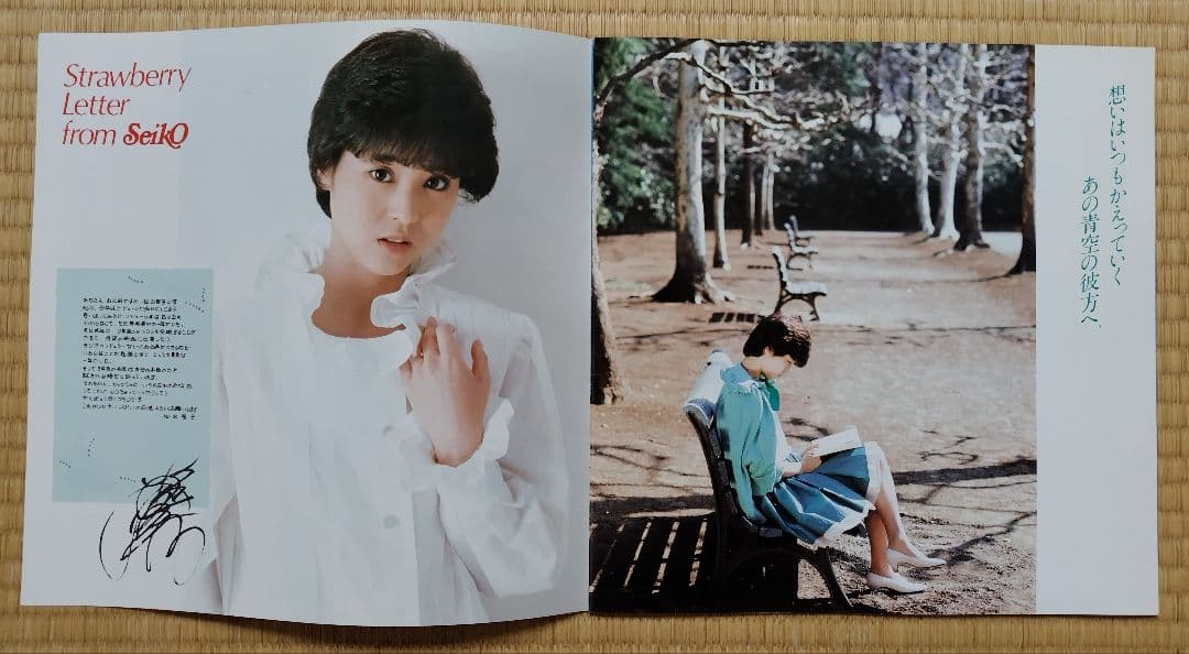 松田聖子 写真集 コンサートパンフレット 30センチ×30センチ 全20ページ