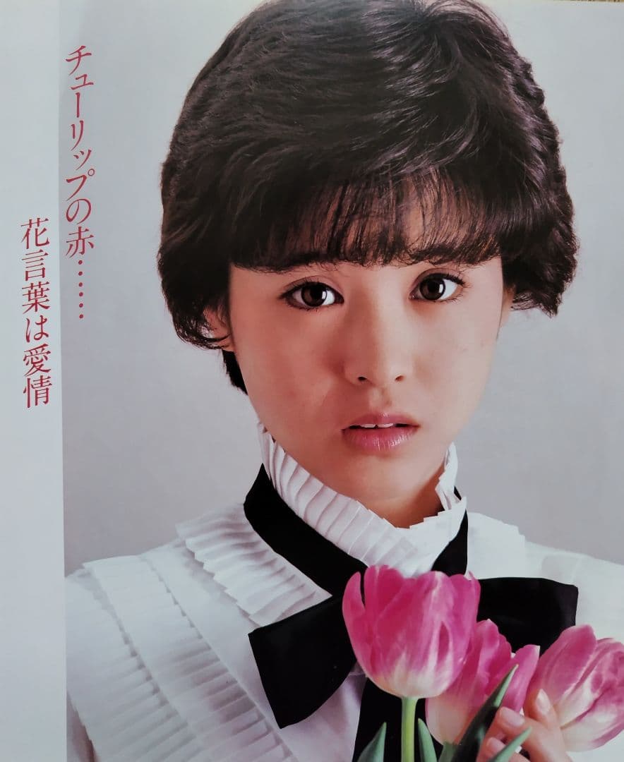 松田聖子 写真集 コンサートパンフレット 30センチ×30センチ 全20ページ