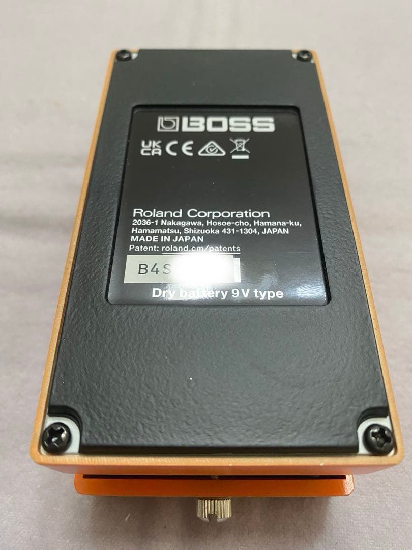 ギター BOSS DS-1W