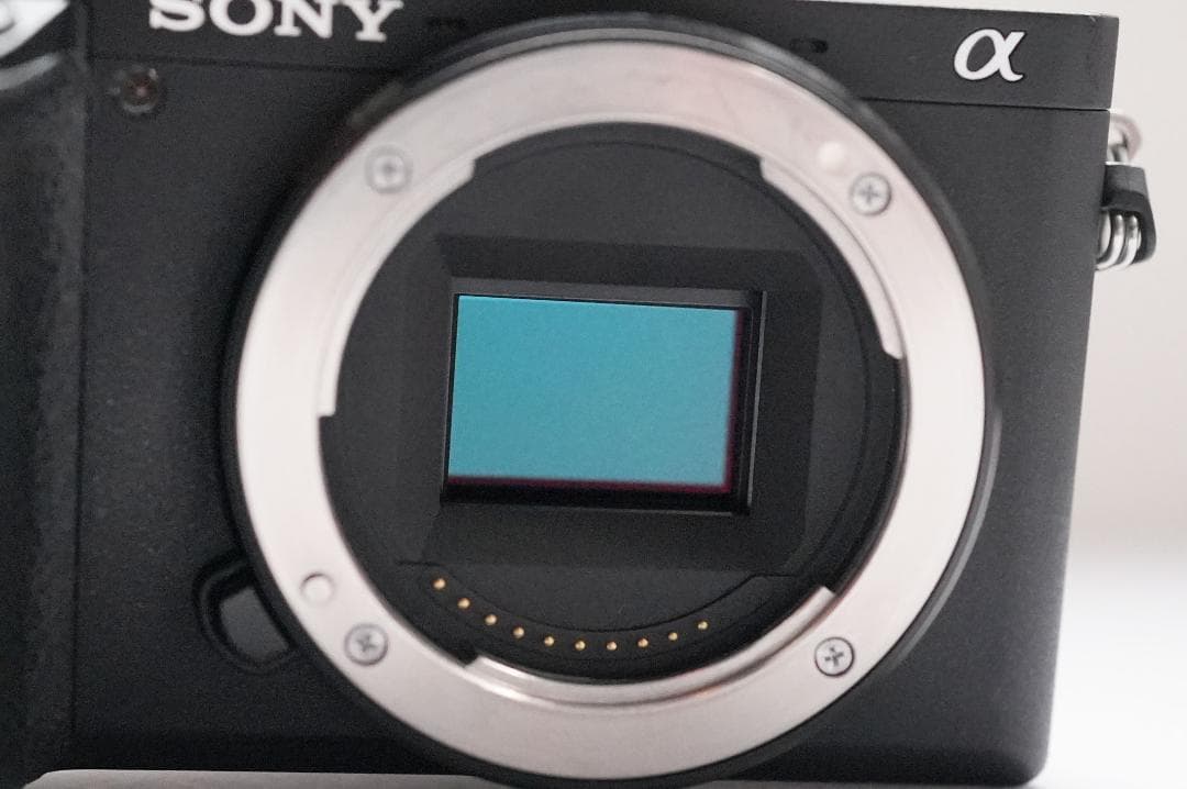SONY α6500 ILCE-6500 ミラーレス一眼カメラ + 専用ケージ