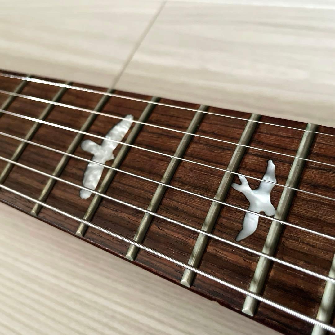 ギター Paul Reed Smith PRS SE CUSTOM 24