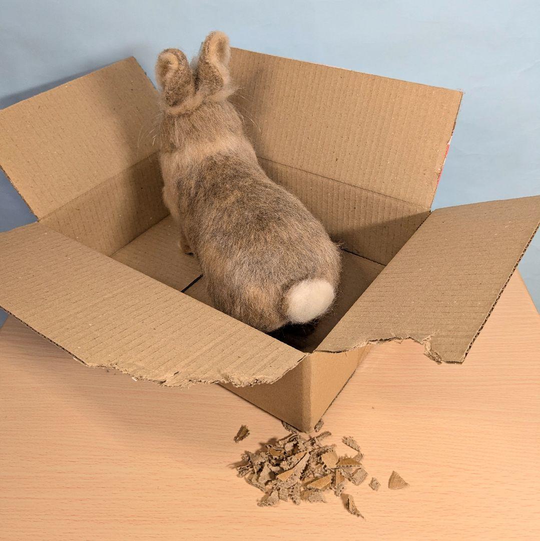 Masa様オーダー　羊毛フェルト　うさぎ　ライオンラビット確認用