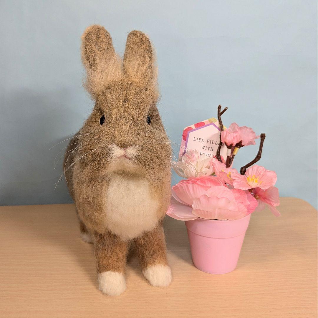 Masa様オーダー　羊毛フェルト　うさぎ　ライオンラビット確認用