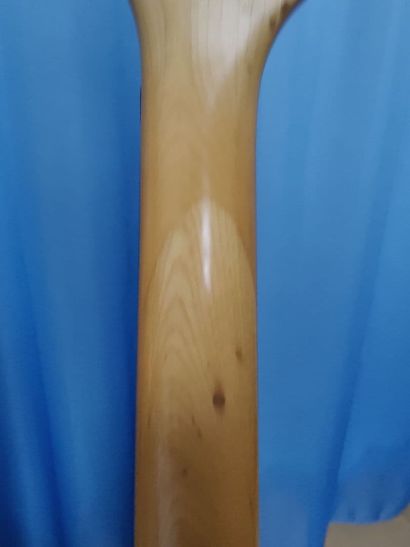 A*P様 aria pro2 the warrior エレキギター フロイドロー