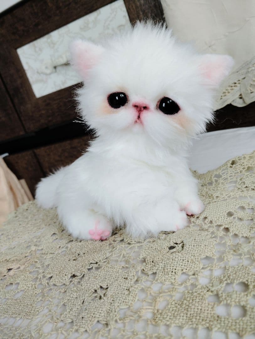 エキゾチックショートヘア♡子猫♡モモちゃん♡アートドール♡ぬいぐるみ♡