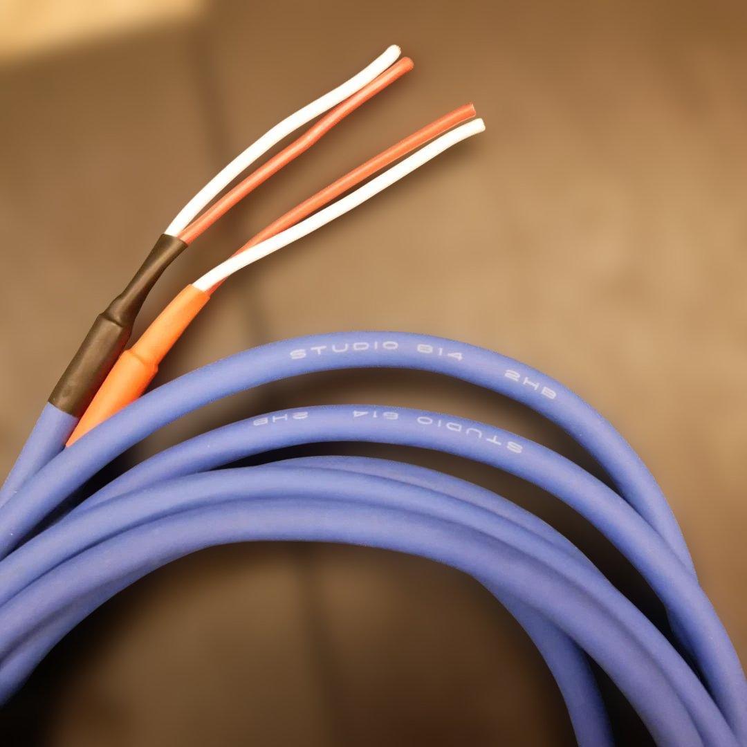 Wharfedale Modus Miniエッジ交換済み beldenケーブル付