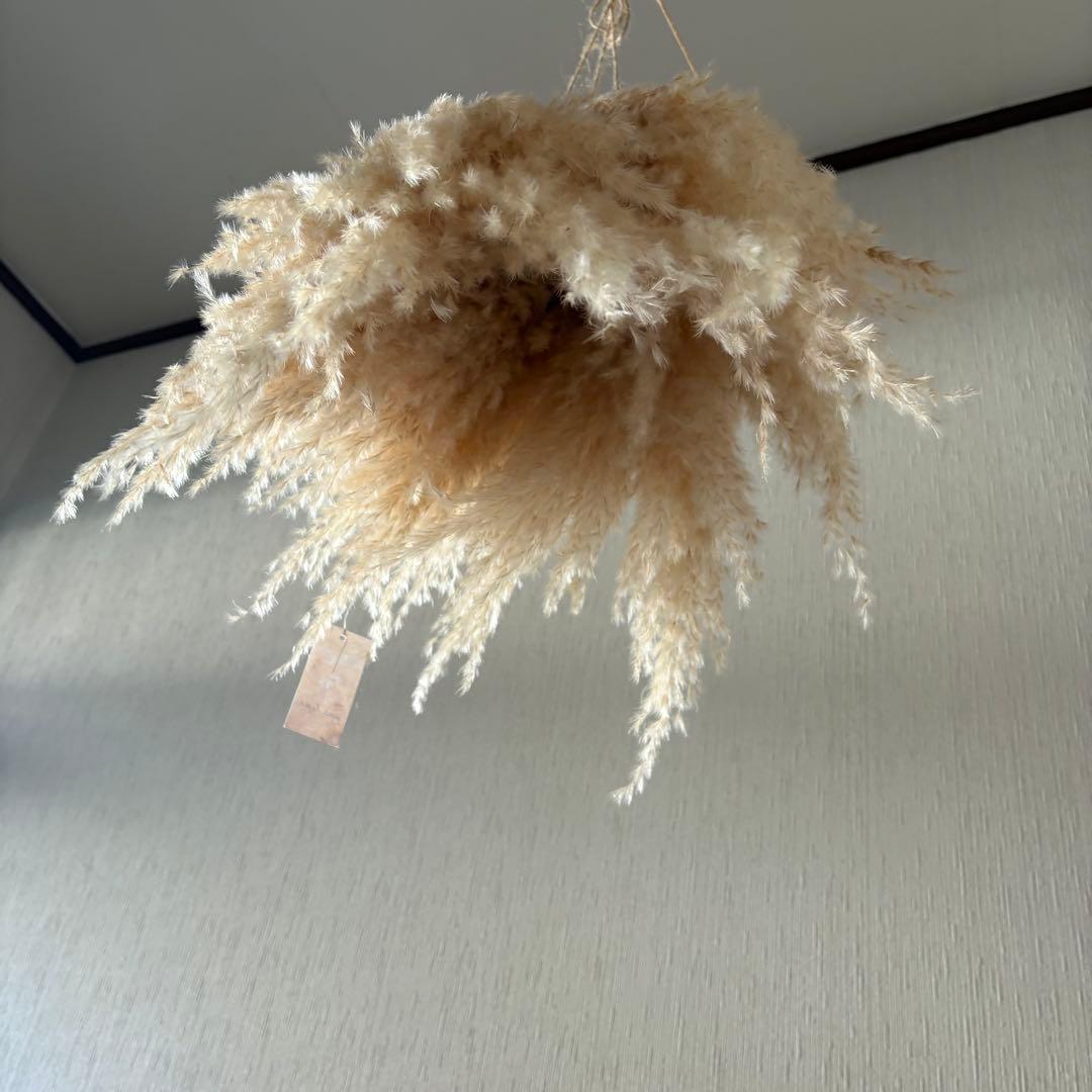 パンパスグラス フライングリース 33～37cm ＊ ホワイトフェザー リース