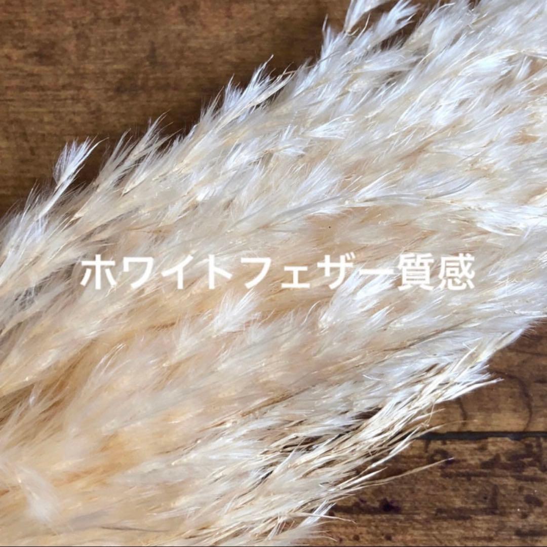 パンパスグラス フライングリース 33～37cm ＊ ホワイトフェザー リース
