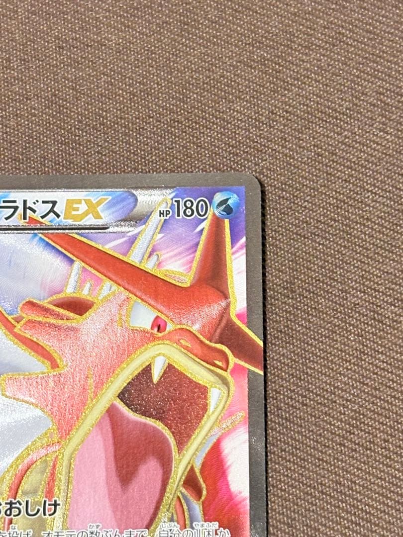 【美品】ギャラドスEX SR XY9 破天の怒り 081/080