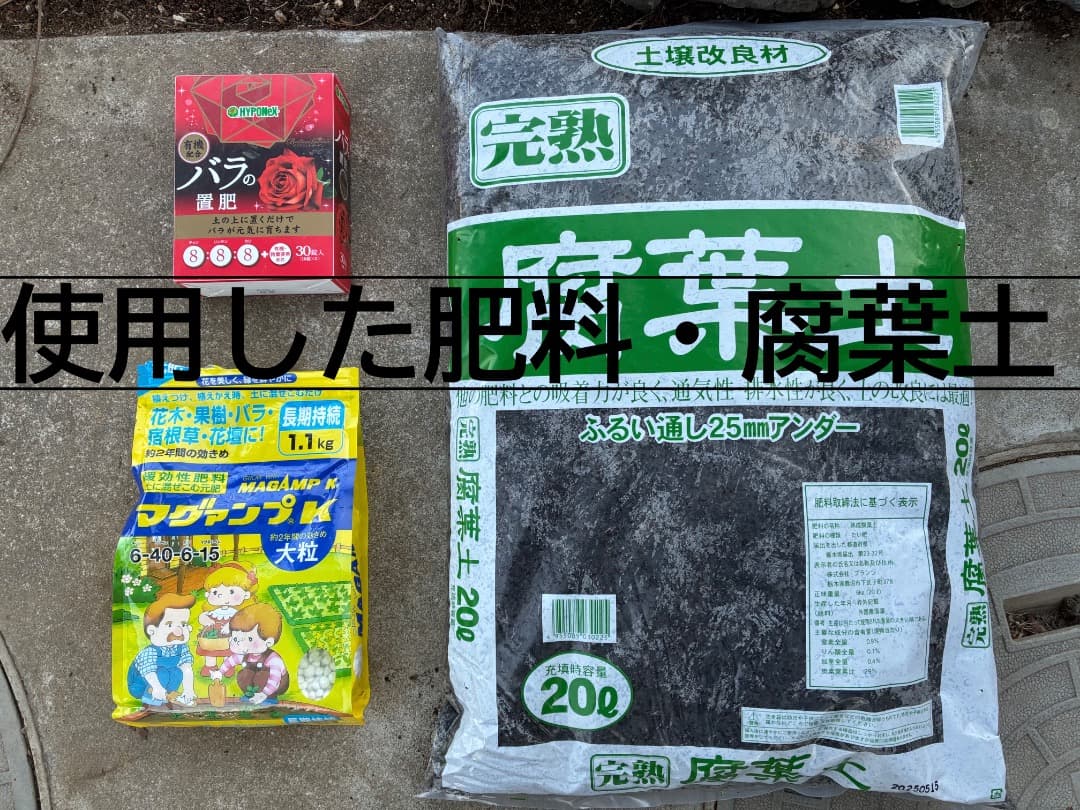 鉢植えバラ ER【スノーグース】　イングリッシュローズ