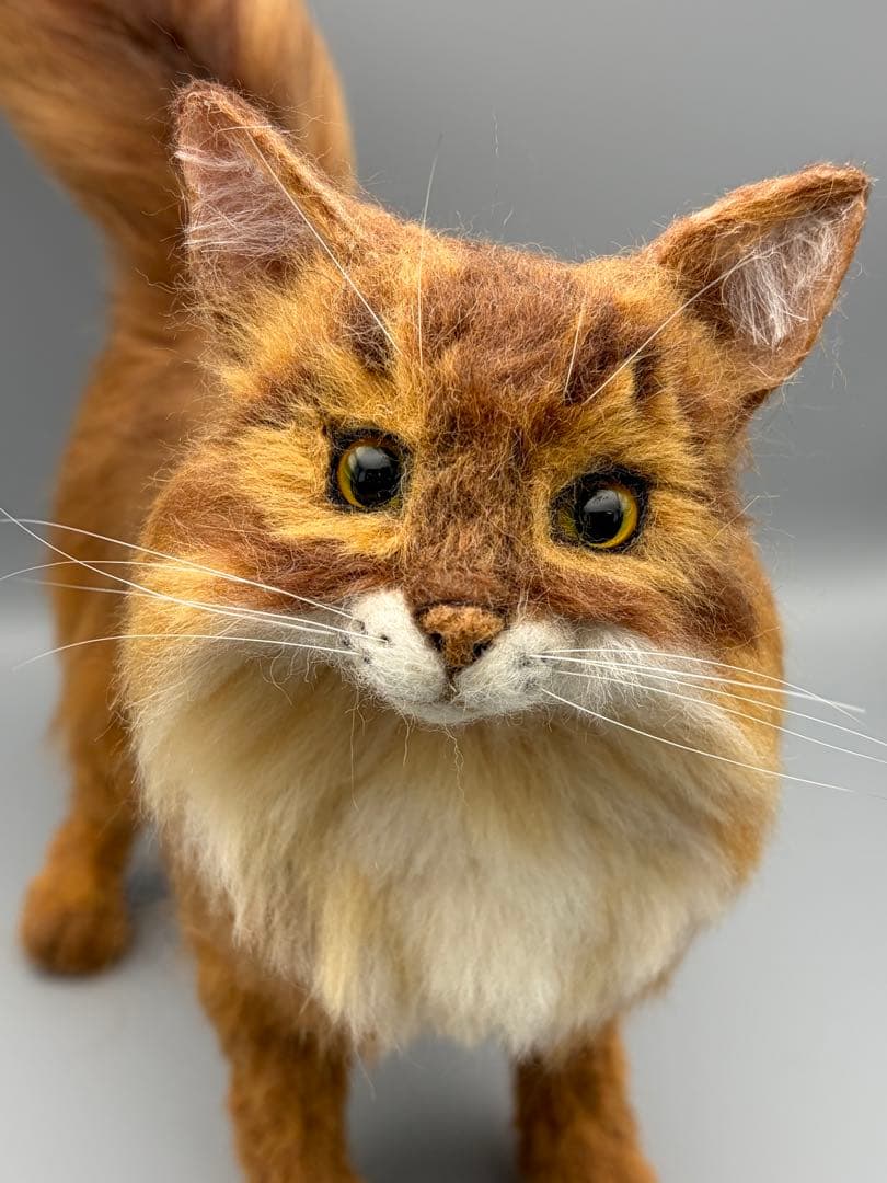 リアル羊毛フェルト猫　No.7 ソマリ　ルディレッド