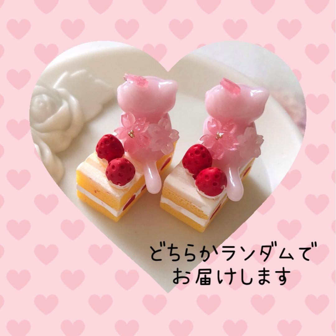 ショートケーキとおすわりねこちゃん　さくら×桜