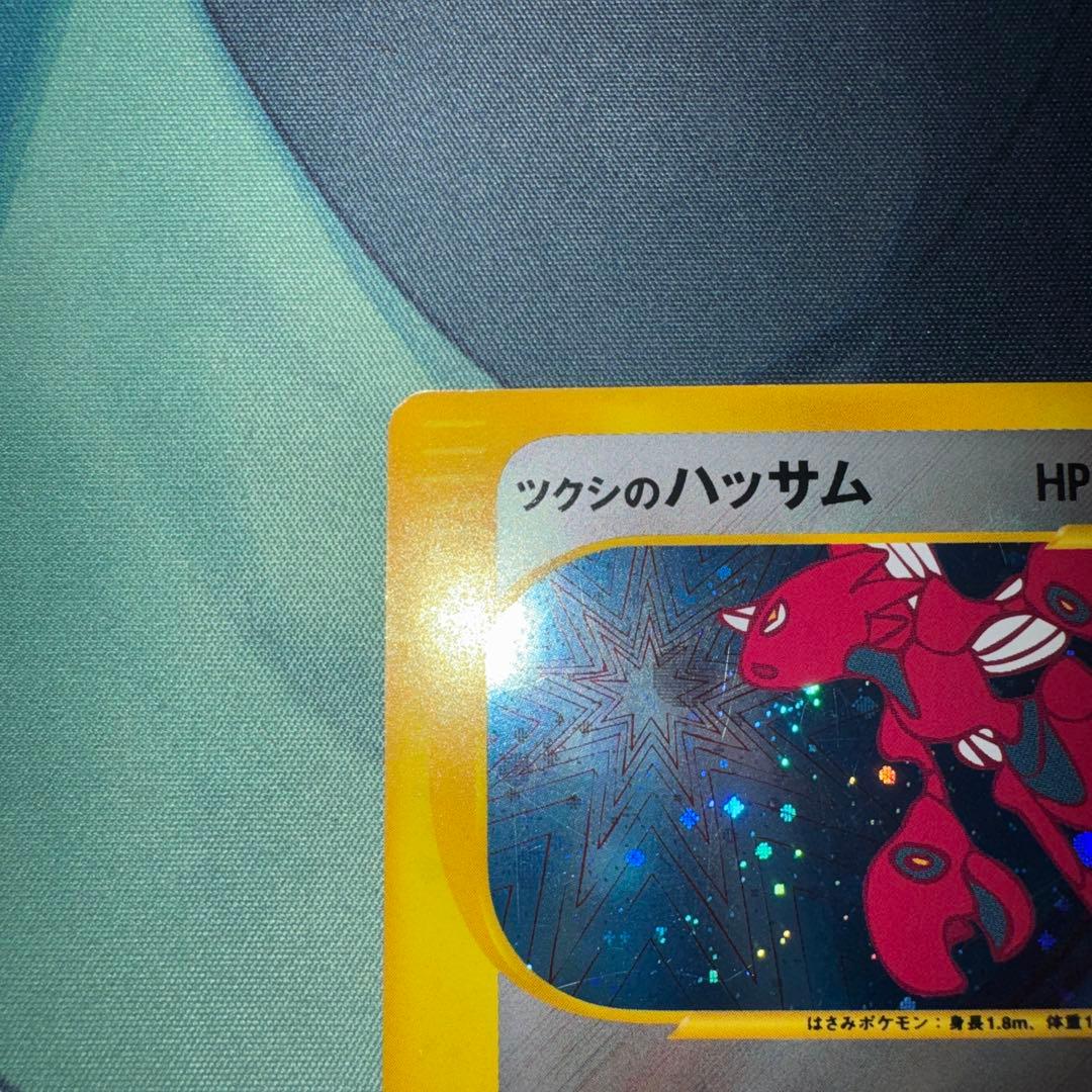 ツクシのハッサム Vs