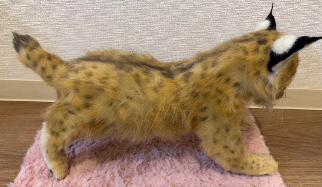 ③*様 海外作家様作　アートドール　オオヤマネコの子供