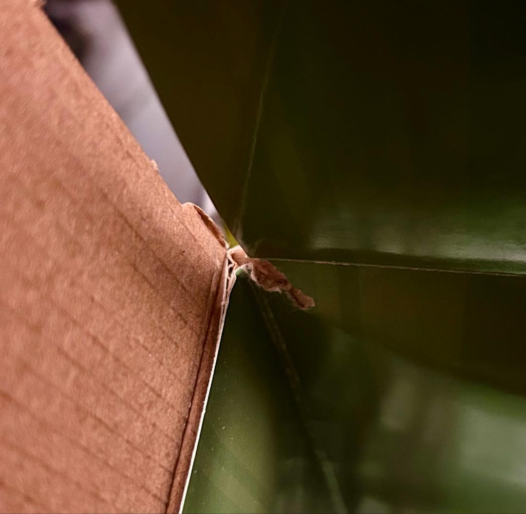 冴えない彼女の育てかた♭ 澤村・スペンサー・英梨々 生足バニーVer. 1/4