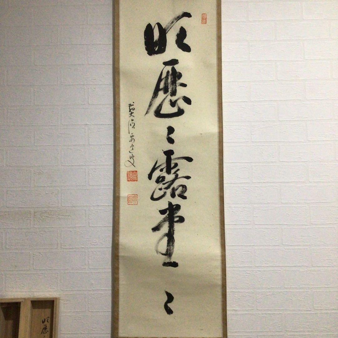 Ｇ９０５　掛軸　大徳寺　雪尾要道　『明歴々露堂々』　共箱　『真作』　肉筆　一行書