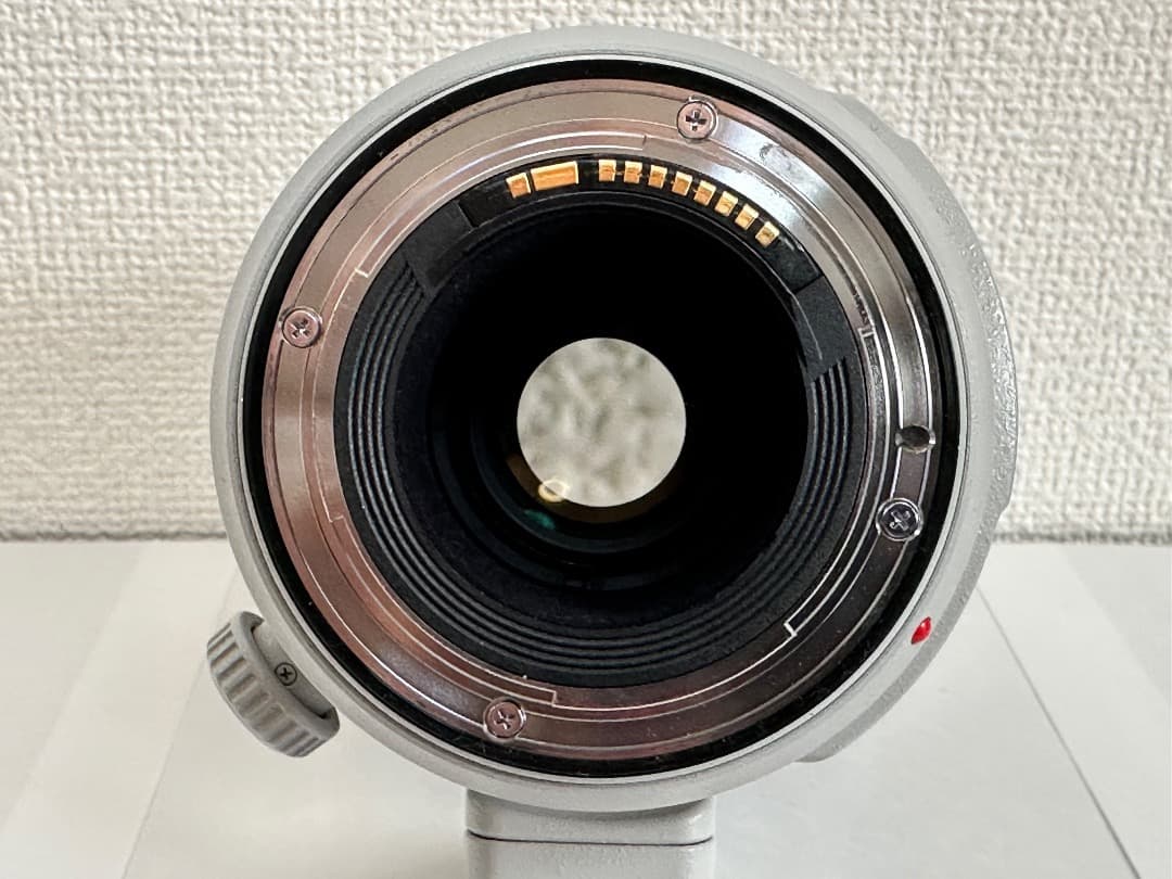 [美品] CANON EF100-400 F4.5-5.6L IS II USM