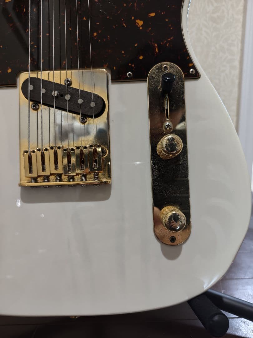 ギター Schecter Progauge Series PS-TL-N SWSB/R