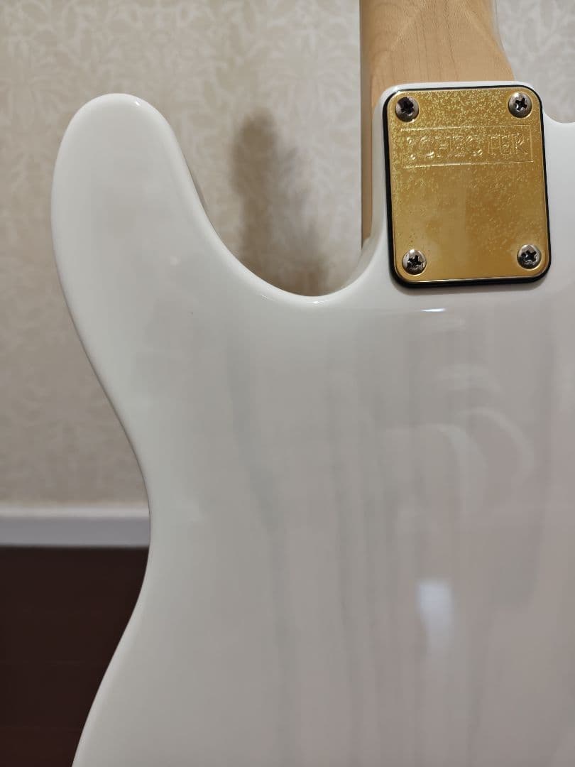 ギター Schecter Progauge Series PS-TL-N SWSB/R