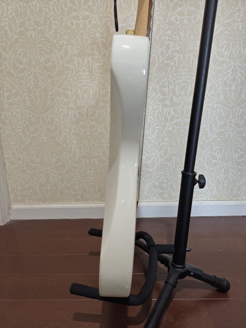 ギター Schecter Progauge Series PS-TL-N SWSB/R