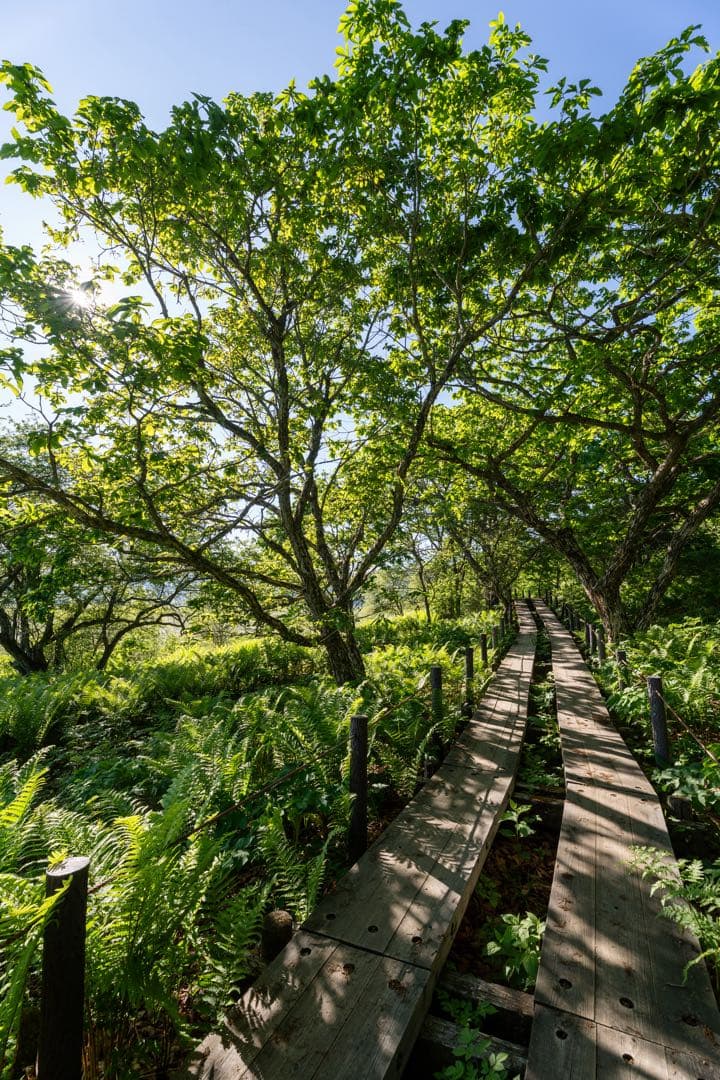 レンズ(ズーム) SIGMA 16-28mm F2.8 DG DN