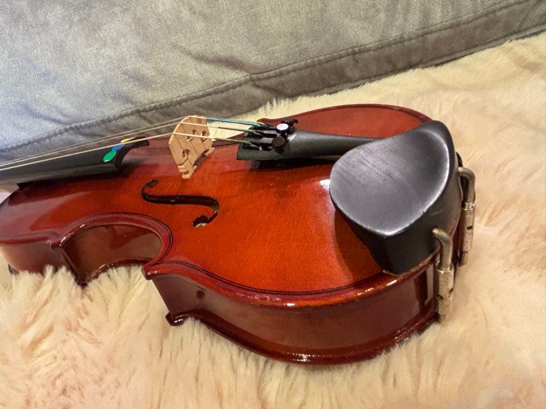 Carlo giordano カルロ・ジョルダーノ　VS-1 1/8 2015年