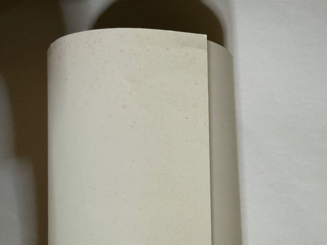 perfumeポスター【最終在庫1点限り】【匿名配送】【送料出品者負担】暗所保管