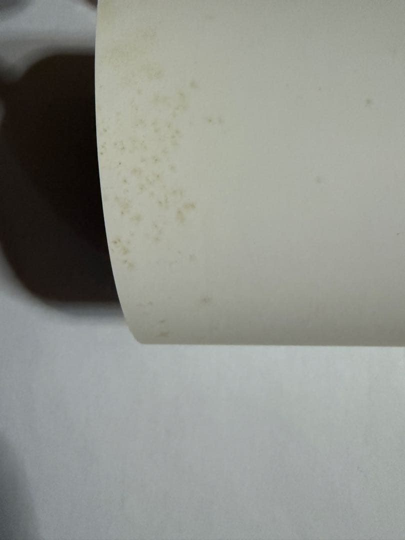 perfumeポスター【最終在庫1点限り】【匿名配送】【送料出品者負担】暗所保管